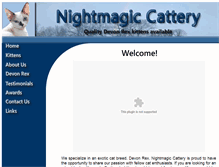 Tablet Screenshot of nightmagiccattery.com